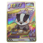 [Premium] Custom Playing Cards | [ Casino Quality] | [For Designers & Gifts]