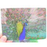 [Premium] Custom Game Cards & Collectibles | [Professional Grade] | [For Artists & Spiritual Creators]