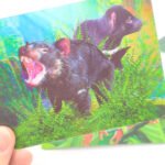 [Premium] Custom Game Cards & Collectibles | [Professional Grade] | [For Artists & Spiritual Creators] - 图片 2