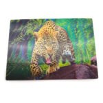 [Premium] Custom Game Cards & Collectibles | [Professional Grade] | [For Artists & Spiritual Creators] - 图片 2